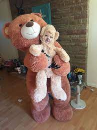 Maybe you would like to learn more about one of these? Diy Big Bear Halloween Costume Bear Halloween Costume Bear Halloween Halloween Costumes