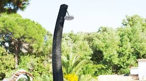 Check spelling or type a new query. Choisir Une Douche De Jardin