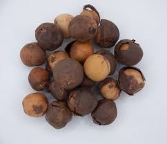 Image result for Afrostyrax