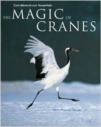 This coffee table is crafted from solid wood with an antiqued finish that lends it an heirloom feel. 51 Coffee Table Books Ideas Books Coffee Table Books Bird Book