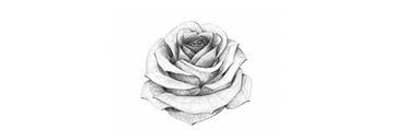 This way for more experienced painters! How To Draw A Rose