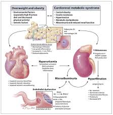 Creatinine= measurement of renal function. Research Review High Protein Diets Safe For Kidneys
