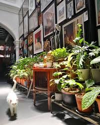 A door just across the street might have behind it something you wouldn't want to get within a mile of. Enter The Meowseum In Penang Where Art And Cats Make The Purr Fect Pairing The Star