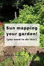 Sun Mapping Your Garden Sun Mapping Your Garden | Garden Types, Home Vegetable Garden, Container  Gardening