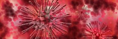 Maybe you would like to learn more about one of these? Rs Virus Respiratoir Syncytieel Virus Koos Dirkse