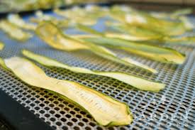 What can you do with dehydrated zucchini. How To Preserve Zucchini Noodles Other Ways Garden Mentors