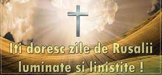 Se mai foloseau şi usturoiul şi pelinul. Fxhrq8rplw Svm