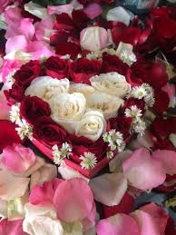 Bunga mawar biru melambangkan misteri, pesimistis dan juga kemustahilan. Fantastis 24 Bunga Mawar Cantik Koleksi Bunga Hd