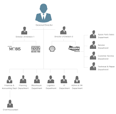 Organization Chart Tran Gia