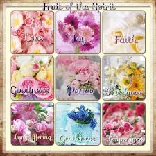The Fruits Of The Spirit Galatians 5 22 23 But The Fruit Of The Spirit Is Love Joy Peace Longsufferin Fruit Of The Spirit Bible Verse Cards Verses For Cards