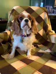 We did not find results for: Mi Gretchen S Web Page