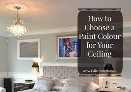 These painted ceilings prove that walls aren't the only surface that can be a focal point. What Colour Do I Paint The Ceiling Best Ceiling Paint Painting The Ceiling Best Paint Colors