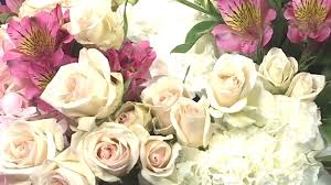Our shop serves the following areas: Reno Flower Shop St Ives Florist Closes After 27 Years Krnv