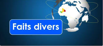 Whack the neighbor français ( fr ) 10 façons de se venger de son voisin ! Kabako Il Enceinte Les Trois Filles Et Les Deux Nieces De Son Voisin Pour Se Venger Mande Infos