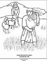 Jacob Worked For Laban Coloring Page Genesis 19 Verses 1 30 Bible Coloring Jacob And Rachel Bible Coloring Pages