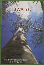 Image result for Ateleia herbert-smithii