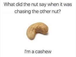 27 Jokes That Are Funny No Matter What Age You Are Dad Jokes Funny Funny Corny Jokes Funny Jokes For Kids