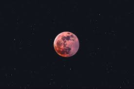 People watch as the full 'super flower blood moon' rises over bondi beach in sydney on 26 may guardian australia's picture editor explains how to photograph the june strawberry supermoon. Oihw5lyhvyl07m