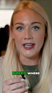 The Academy by Journey is coming soon!, Soon you will have the exclusive  opportunity to begin learning under Will’s wing, Whose leadership style  prioritizes the growth, well-being & empowerment of his ...