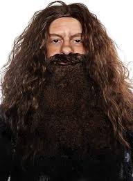 ALLAURA Brown Wizard Wig and Beard Set