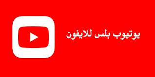 العربي بلس on twitter يوتيوب بلس رابط مباشر https t co tupyxgvq6d حمل البرنامج وانتظر 10 دقائق ليكتمل التحميل ولا تنسى تحمل الارنب الصيني https t co zwiewujf7h