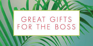Some people give their bosses cards, gift certificates, or flowers or perform kind gestures that boss's day 2020 falls, annually, on october 16. The Best Flowers For National Boss S Day Trias Flower Guides Trias Flowers