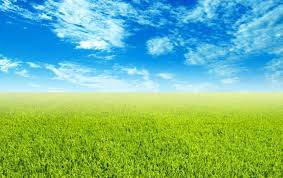 Find and download background design pictures on pikwizard. Free Backgrounds Wallpapers Wallpaper Cave