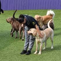 We did not find results for: Best Friends Fur Ever Jobs In Joppa Md Glassdoor