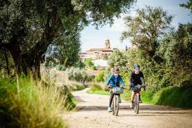If you are, you have to lay down on luna's bed, an item you can get in the mail. Xpdtn3 Family Bikepacking 3t Blog