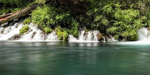Field Series: Walk to Wizard Falls on the Metolius...