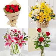 One of south africa's marvels is its incredible diversity of plant and flower species found in the cape floral kingdom (or the cape floristic region) on the country's western cape. The 6 Best Flower Delivery Services In Seoul Bestfloristreview