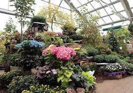 Laden sie sich hier unsere broschüren herunter. Gartenmarkt Teterower Gartenmarkt