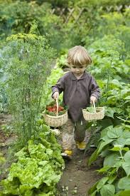 Epingle Par Nicole Brunner Sur Une Si Petite Graine Jardin Pour Enfants Potager Jardinage