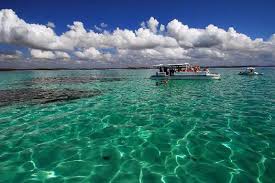 La canarinha, concentrada y aislada en la ciudad. Turismo En Brasil Guia Tuiristica De Brasil Pagina 5 Lugares Para Viajar Turismo Lugares Increibles