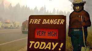Check spelling or type a new query. Why Smokey Bear Desperately Needs A Makeover Outside Online