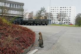 Brigadier broccoli is the official swiss army cat. Blick Photos Facebook