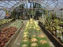 Cecelia allen, debra day and 2 others like this. Pine View Nursery Kalimpong Timings Entry Fee Best Time To Visit