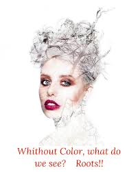 Cuts by Daisy (@cutsbydaisy) · Miami, FL