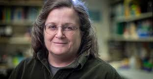 Susan Parkhurst named Mark Groudine Endowed Chair for Outstanding  Achievements in Science and Service