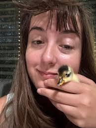 Missing duck makes nest in front yard