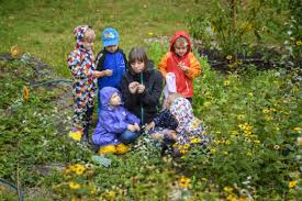 Maybe you would like to learn more about one of these? Unsere Kita Waldhauschen Volkssolidaritat Berlin