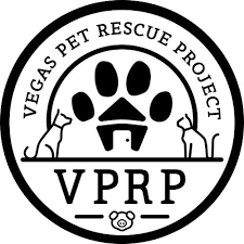 Make sure your fence is high enough. Vegas Pet Rescue Project Vprp Home Facebook
