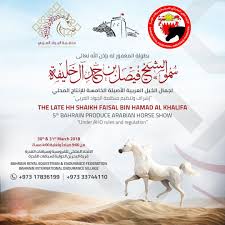 بطولة البحرين لجمال الخيل العربية للإنتاج المحلي Arabian Horse Show Horses Horses