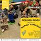 Summer Bunch Storytime