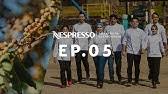 The vertuo coffee and espresso coffee machine conveniently makes 5, 8, 14 oz coffee and 1.35, 2.7oz espresso. Nespresso Vertuo Next Maintenance Descaling Youtube
