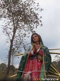 <<santísima virgen del carmen, deseo que sin excepción todos, sean cobijados bajo tu sombra protectora, en tu santo escapulario y que estén unidos todos a ti, por los amorosos y estrechos lazos de ésta tu insignia querida. Los Tres Significados De Sonar Con La Virgen De Guadalupe
