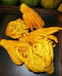 20 Fruits Incroyables Que Personne Ne Connait Fruits Nourriture Bizarre Liste De Fruits