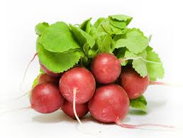 Image result for Raphanus