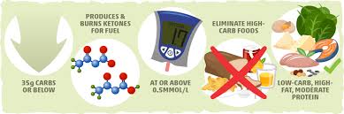 Low Carb Vs Keto Diet Differences Aktins Paleo More