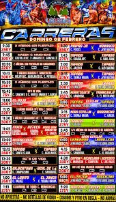 Carreras De Arkansas